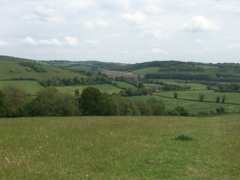 Chiltern view A view of the Chilterns near Turville