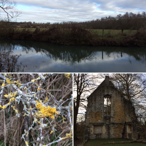 Minster Lovell Walk Images from Minster Lovell walk