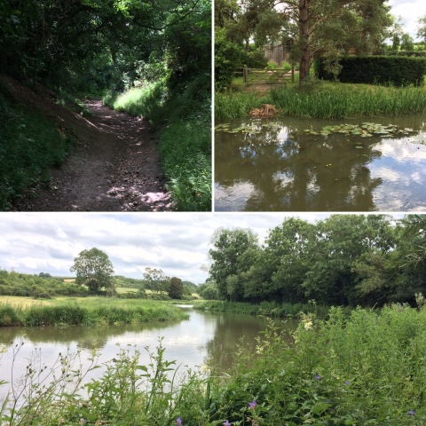 020719 walk Images from walk on 020719
