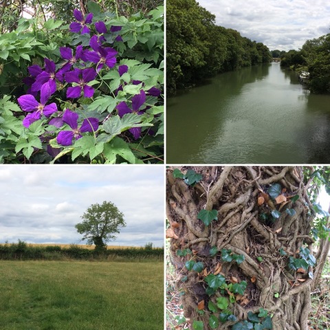 210719 walk Images from walk on 210719