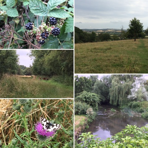 270719 walk Images from walk on 270719
