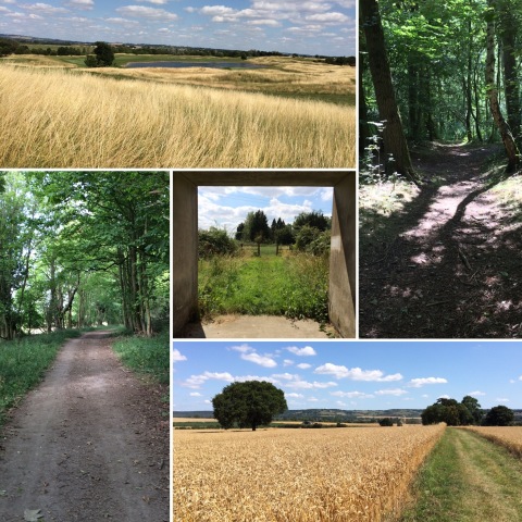 290719 walk Images from walk on 290719