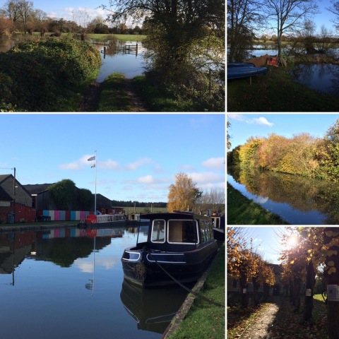 Images from walk on 101119