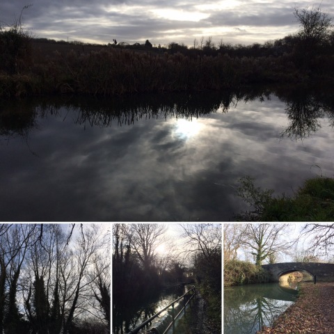 Images from walk on 07-12-19
