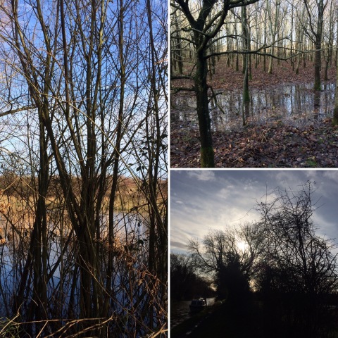 Images from walk on 15/12/19