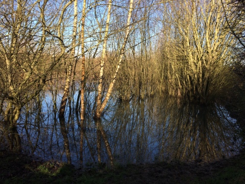 19/01/20 walk Image from walk on 19/01/20