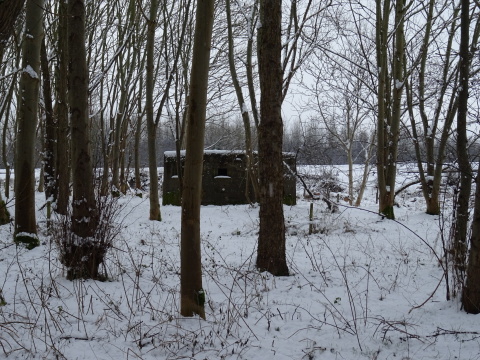 Snowy pillbox A WW2 pillbox standing in snowy woods.