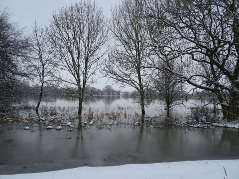 Snow and floods A row of snowy trees standing in floodwater with snow on the ground in the foreground and snowy slopes in the distance.