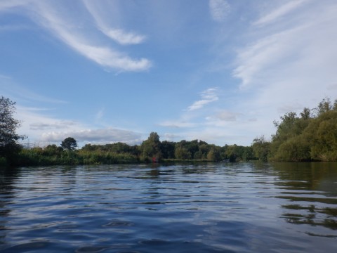 A blue river fringed with green trees under a blue sky with swooshes of white cloud.