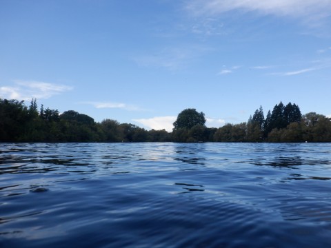 A blue lake and a blue sky, separated by a line of trees.