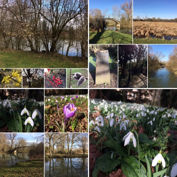 Lunchtime walks w/c 180219